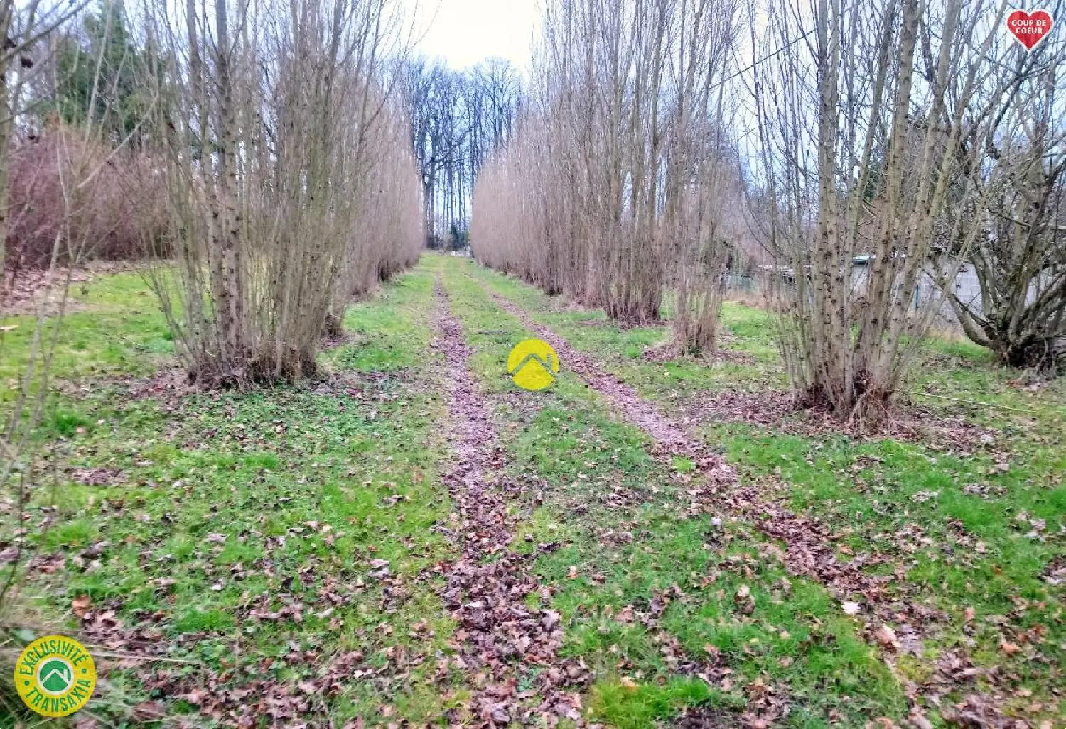  kaufen Bauernhof Lurcy-Lévis Allier 2