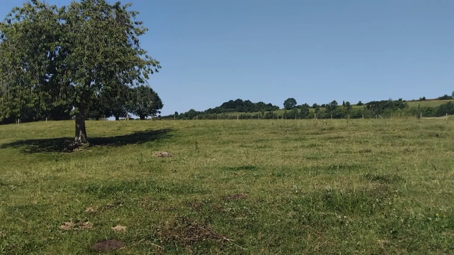  for sale farm Mauquenchy Seine-Maritime 6