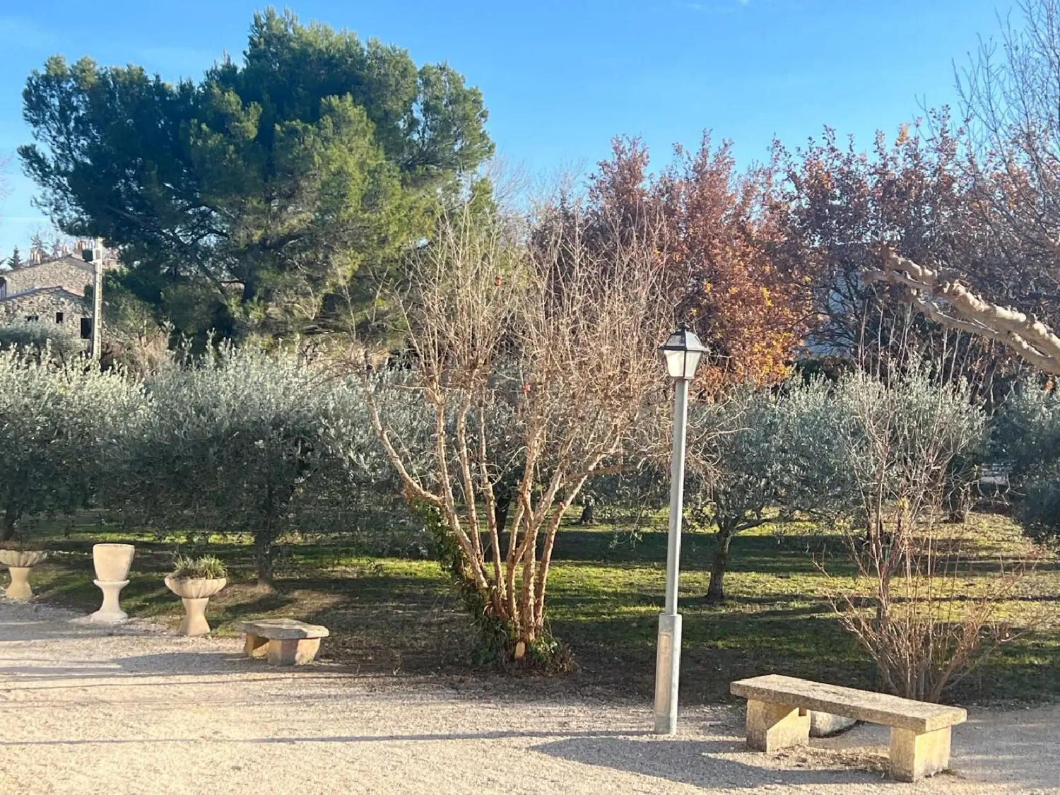  kaufen Bauernhof Modène Vaucluse 4