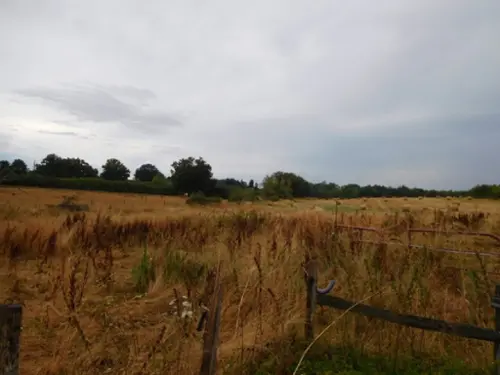  kaufen Bauernhof Paray-le-Frésil Allier 5