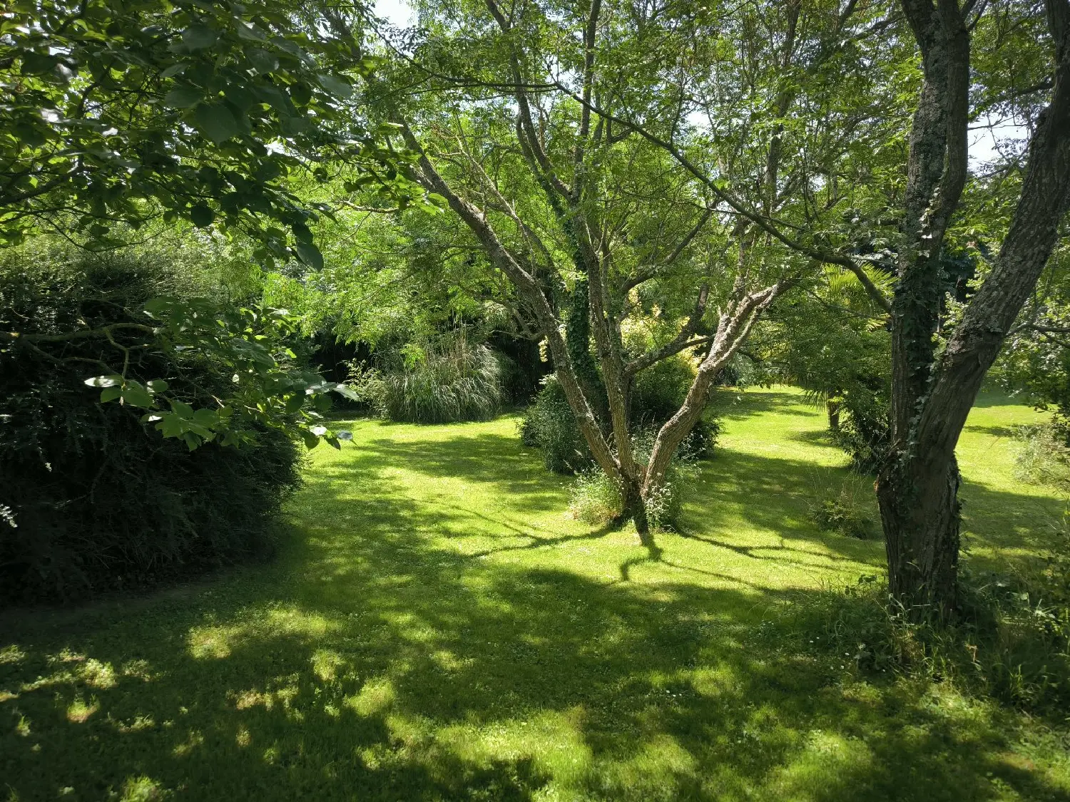 en venta casa rústica Plavilla Aude 3