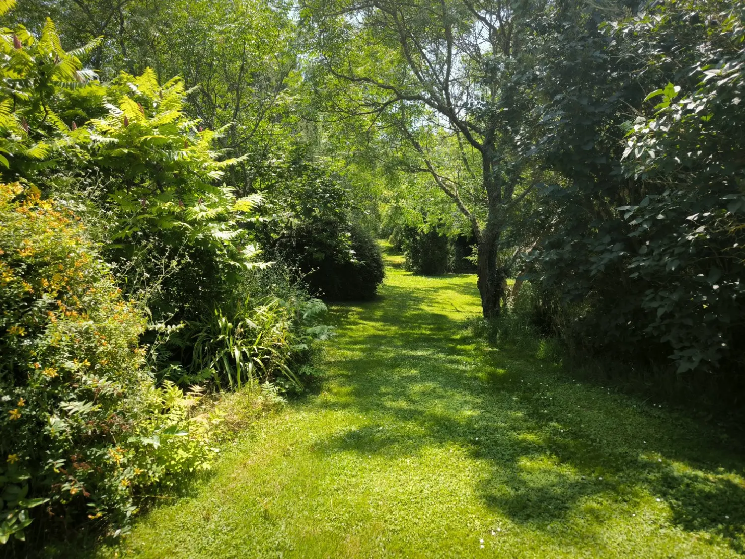  en venta casa rústica Plavilla Aude 5