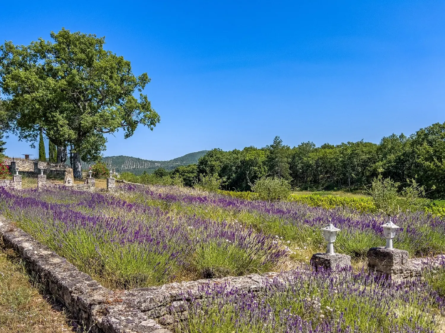  te koop boerderij Reillanne Alpes-de-Haute-Provence 6