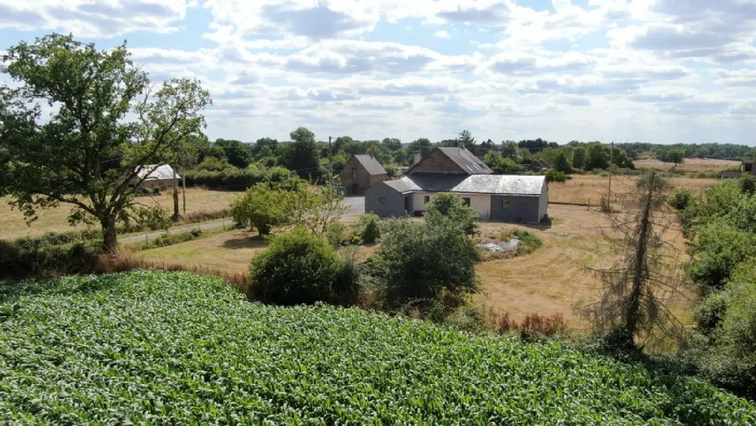  en venta casa rústica Riaillé Loire-Atlantique 2