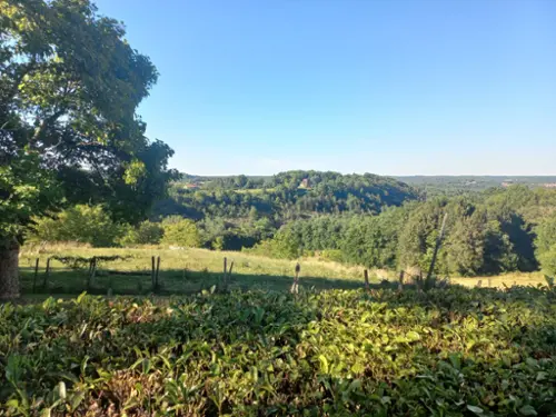 Rouffignac-Saint-Cernin-de-Reilhac Dordogne boerderij foto 7109399