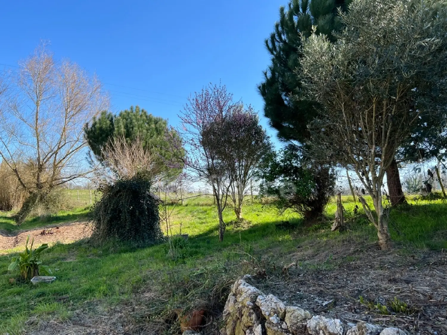 en venta casa rústica Saint-Palais-de-Négrignac Charente-Maritime 2