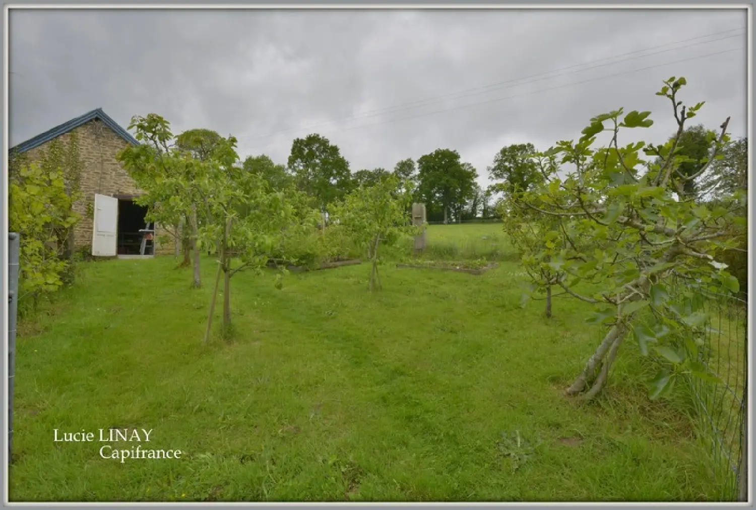  à vendre ferme Saint-Pierre-des-Landes Mayenne 8