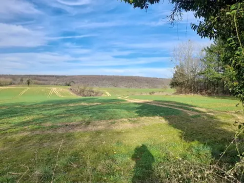  te koop boerderij Saint-Franchy Nièvre 5