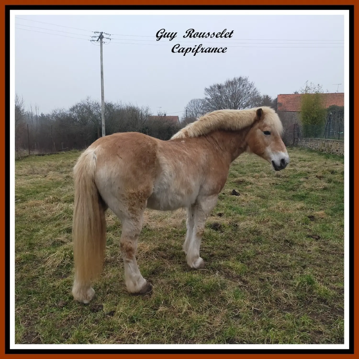 en venta casa rústica Semur-en-Auxois Côte-d'Or 7