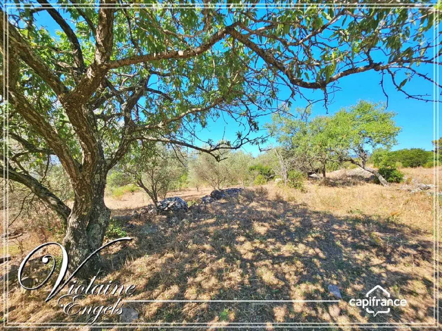  en venta casa rústica Siran Hérault 7
