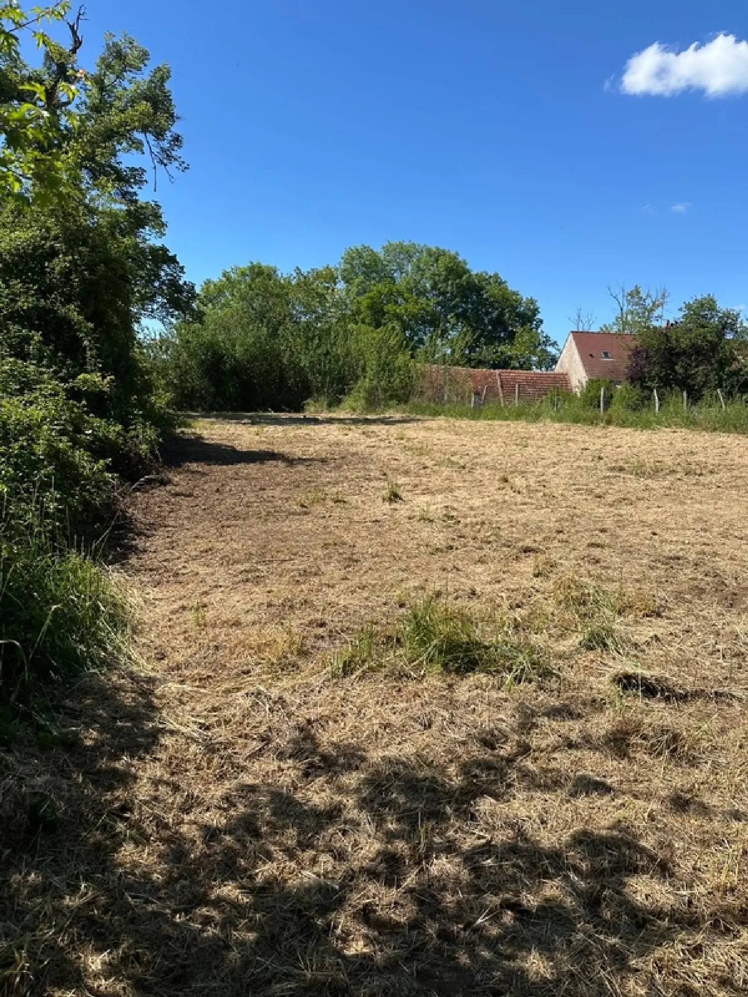  te koop boerderij Torcy-et Pouligny Côte-d'Or 4