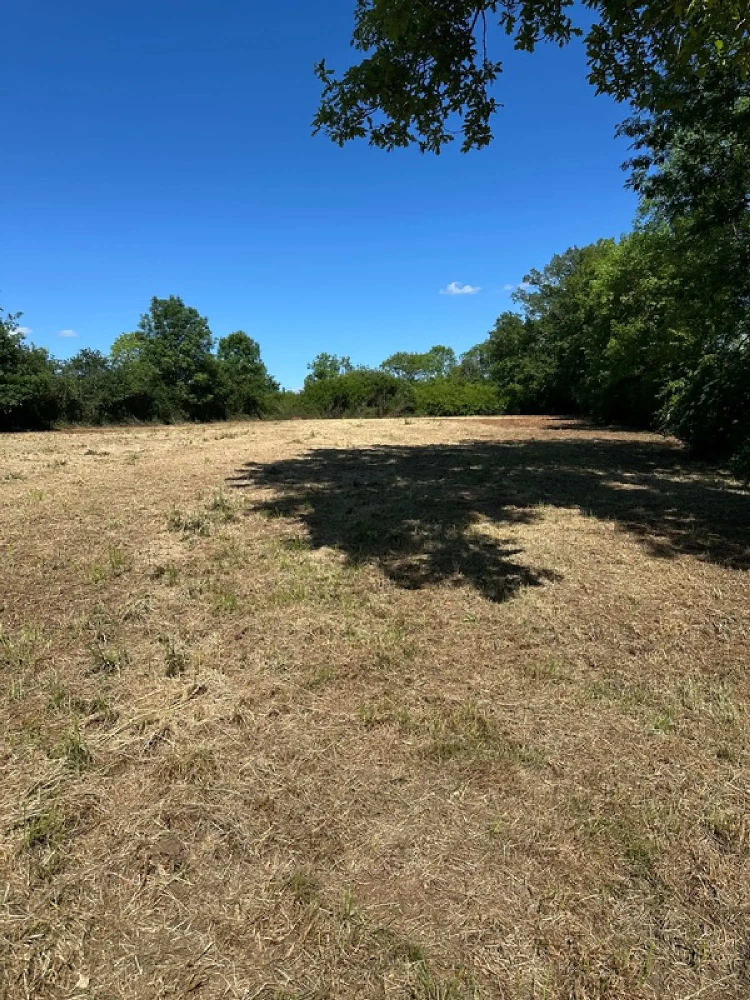  te koop boerderij Torcy-et Pouligny Côte-d'Or 5