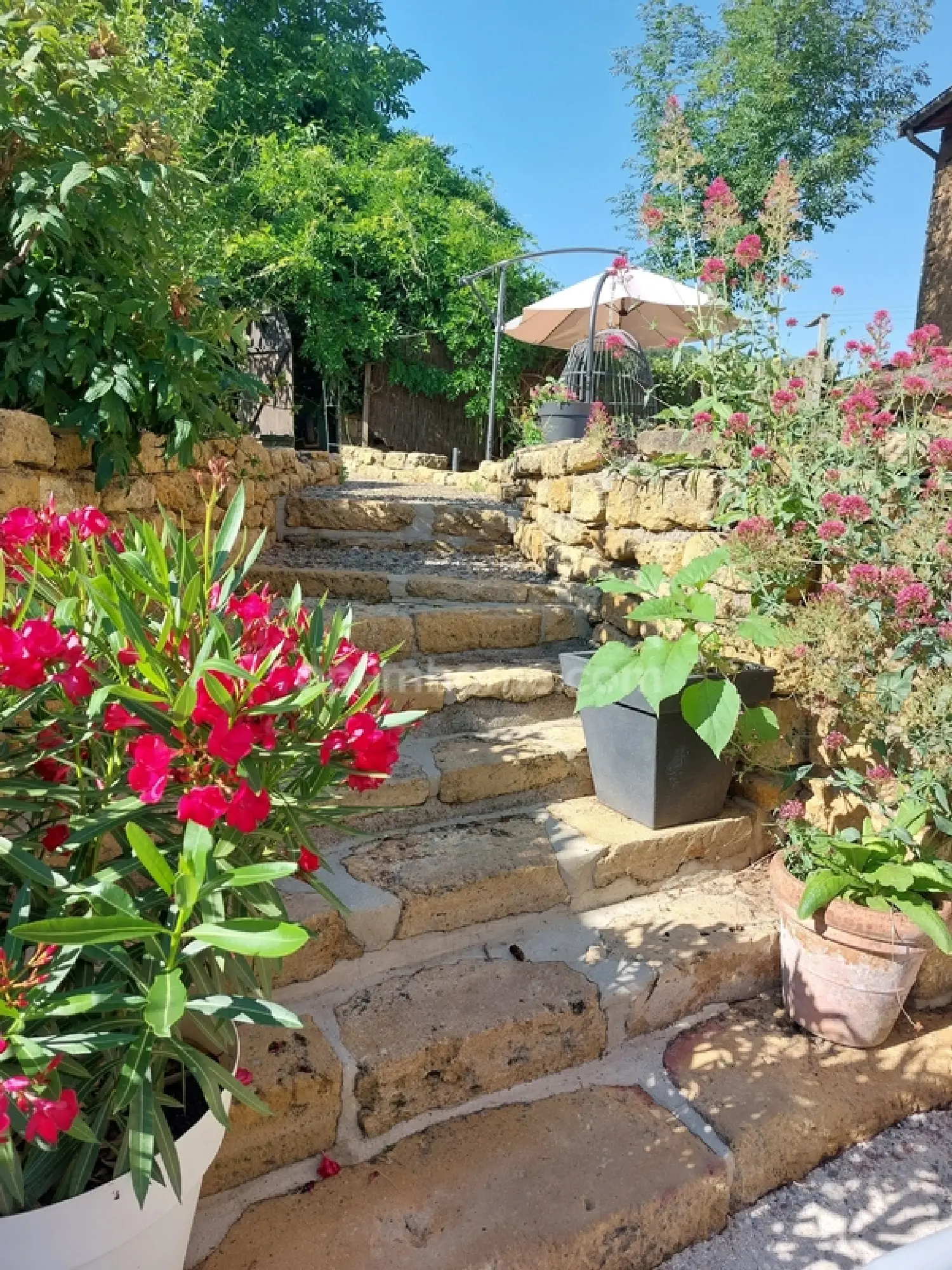  à vendre ferme Velosnes Meuse 3