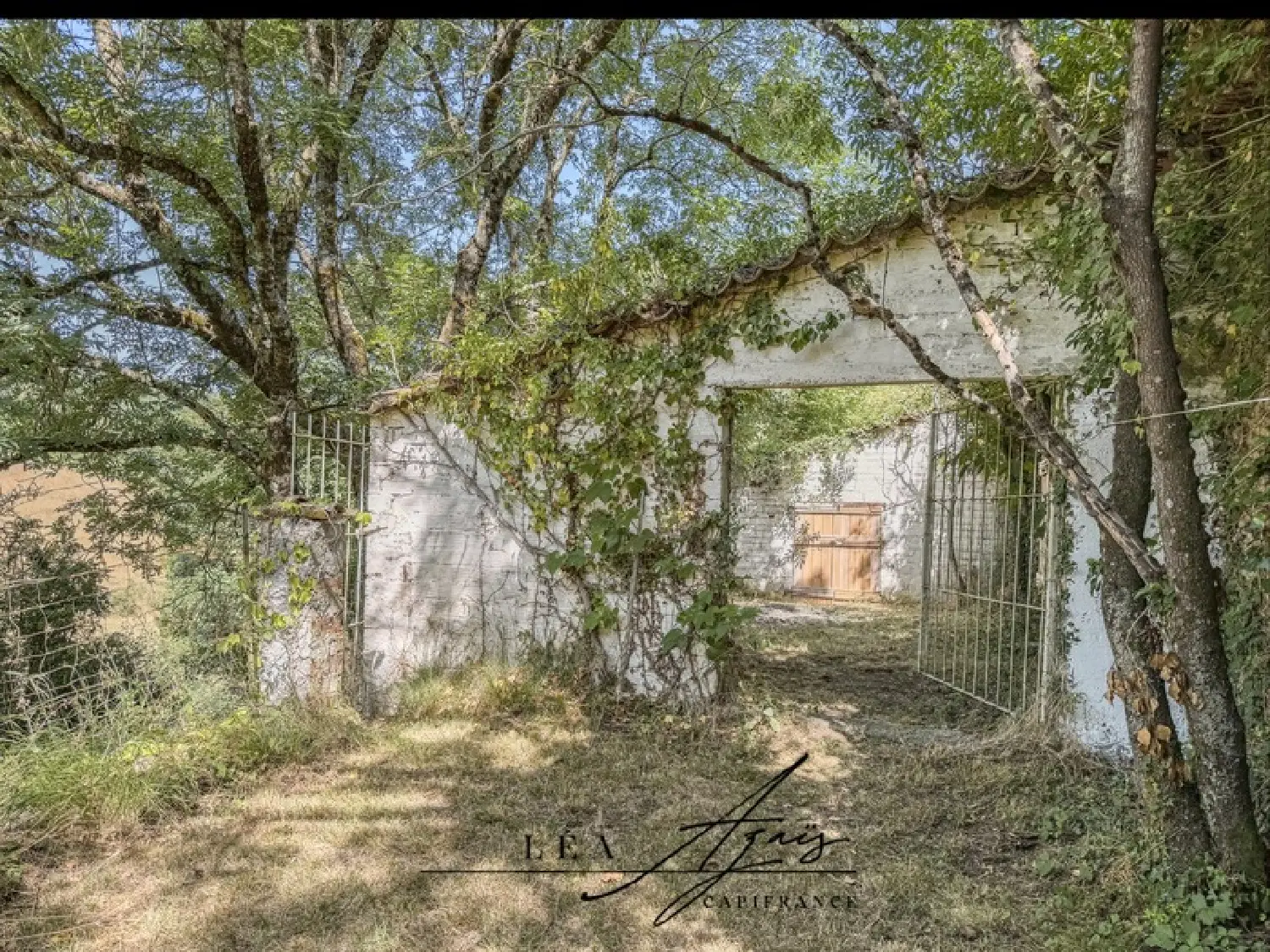  à vendre ferme Villardebelle Aude 3