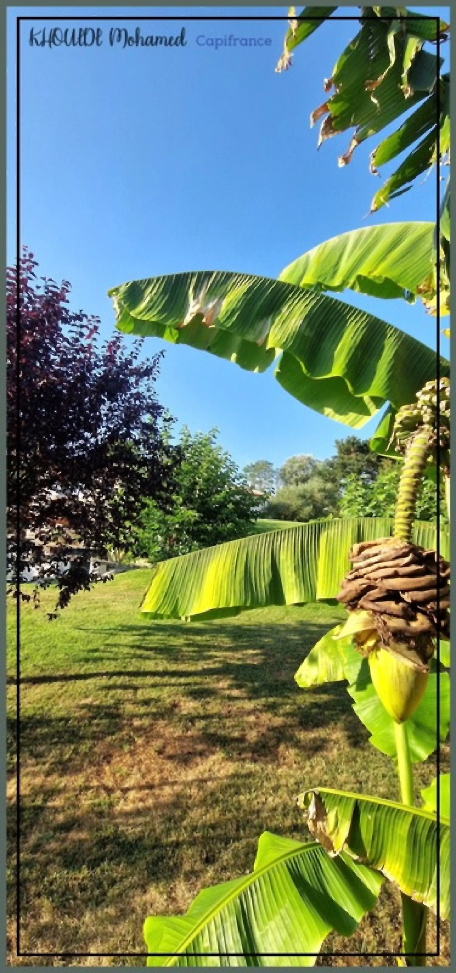  en venta casa Agen Lot-et-Garonne 7