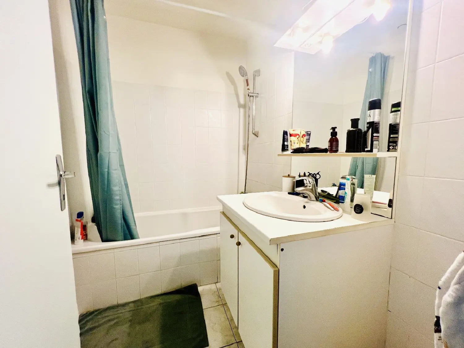 kaufen Haus Albi Tarn 6