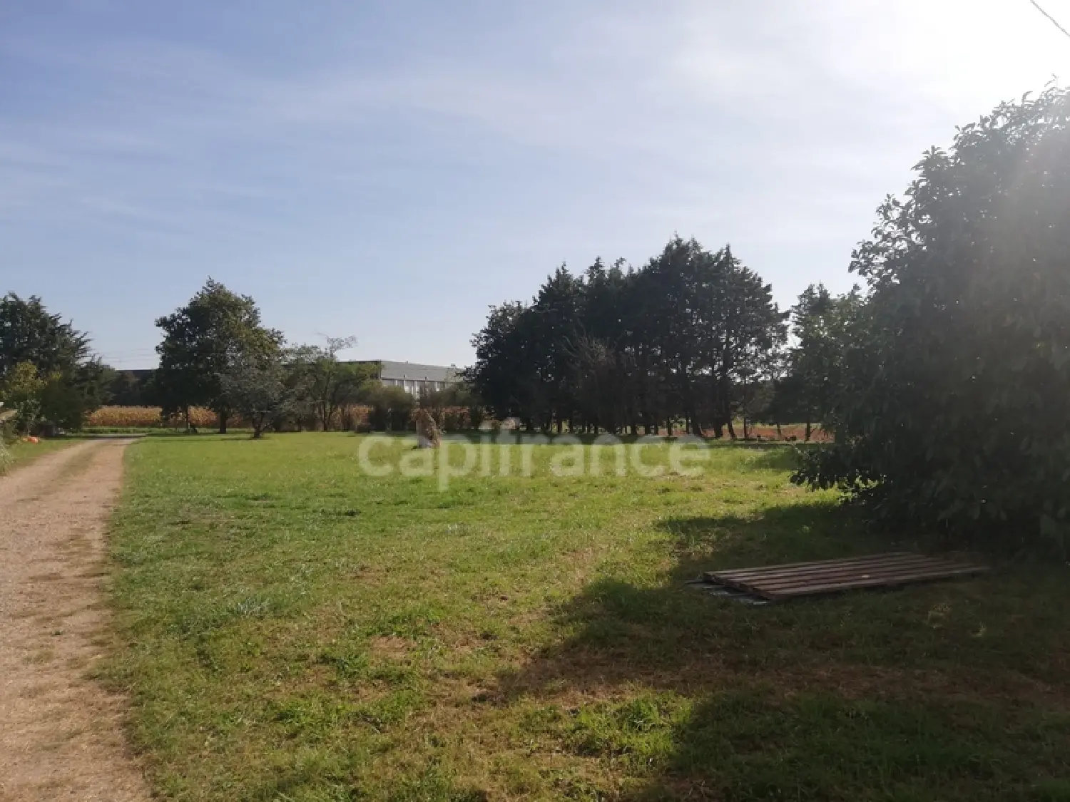  te koop huis Allonnes Sarthe 4