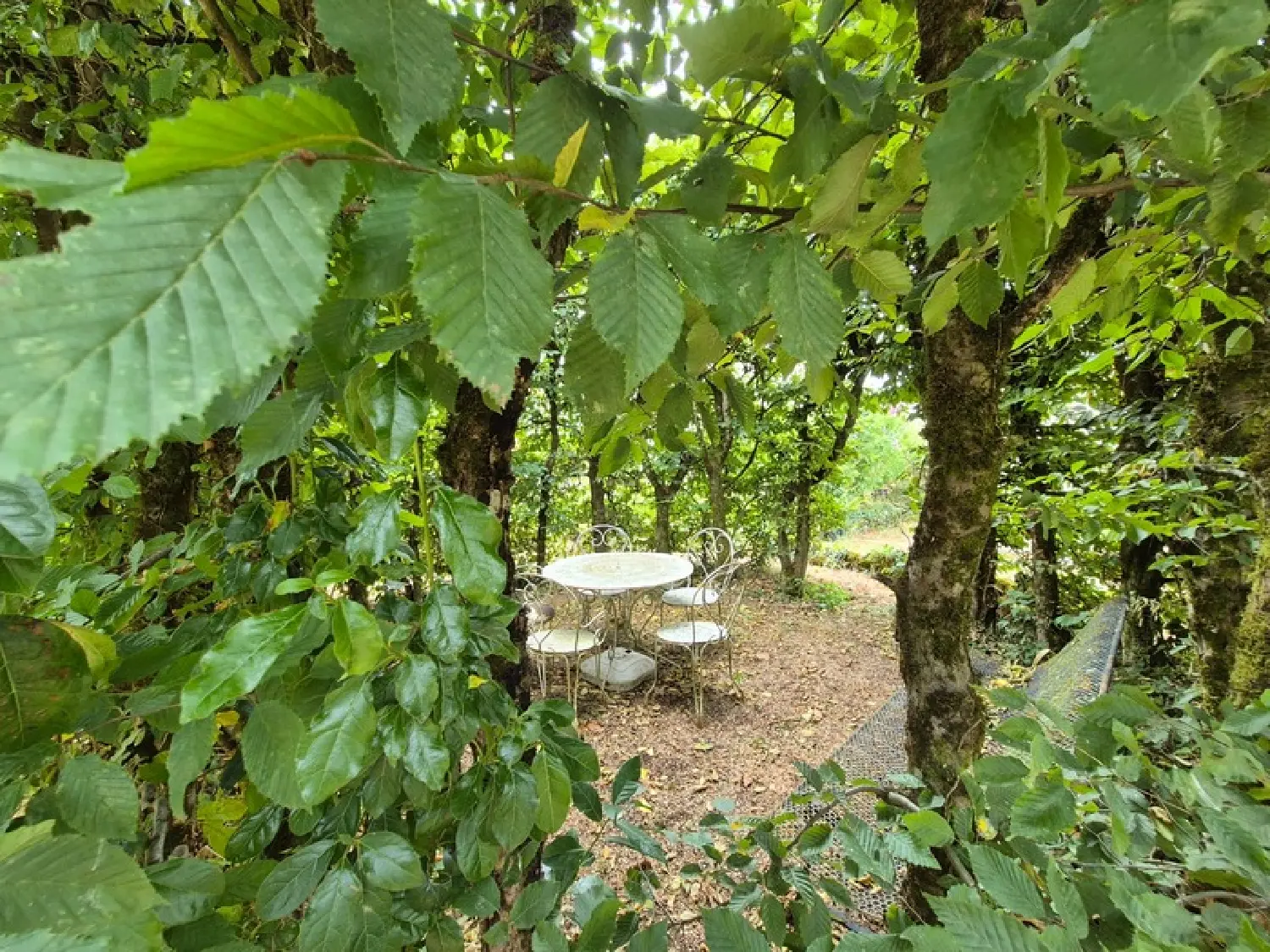  kaufen Haus Angoulême Charente 6
