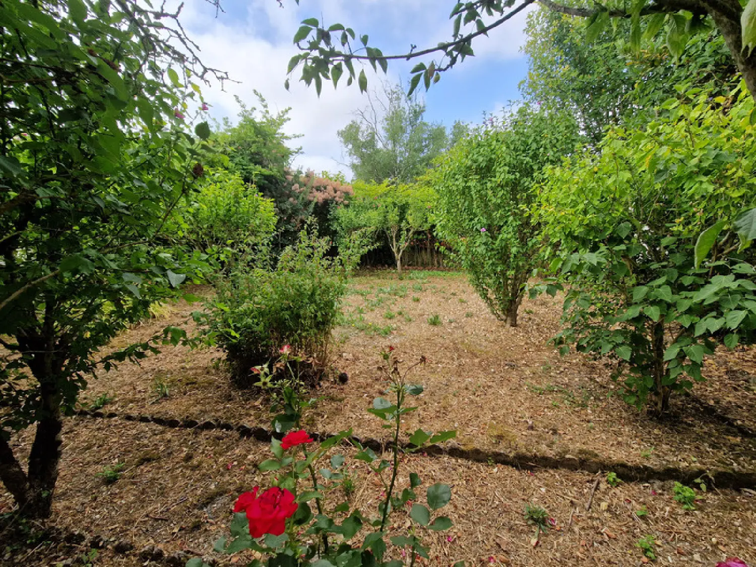  kaufen Haus Annezay Charente-Maritime 8
