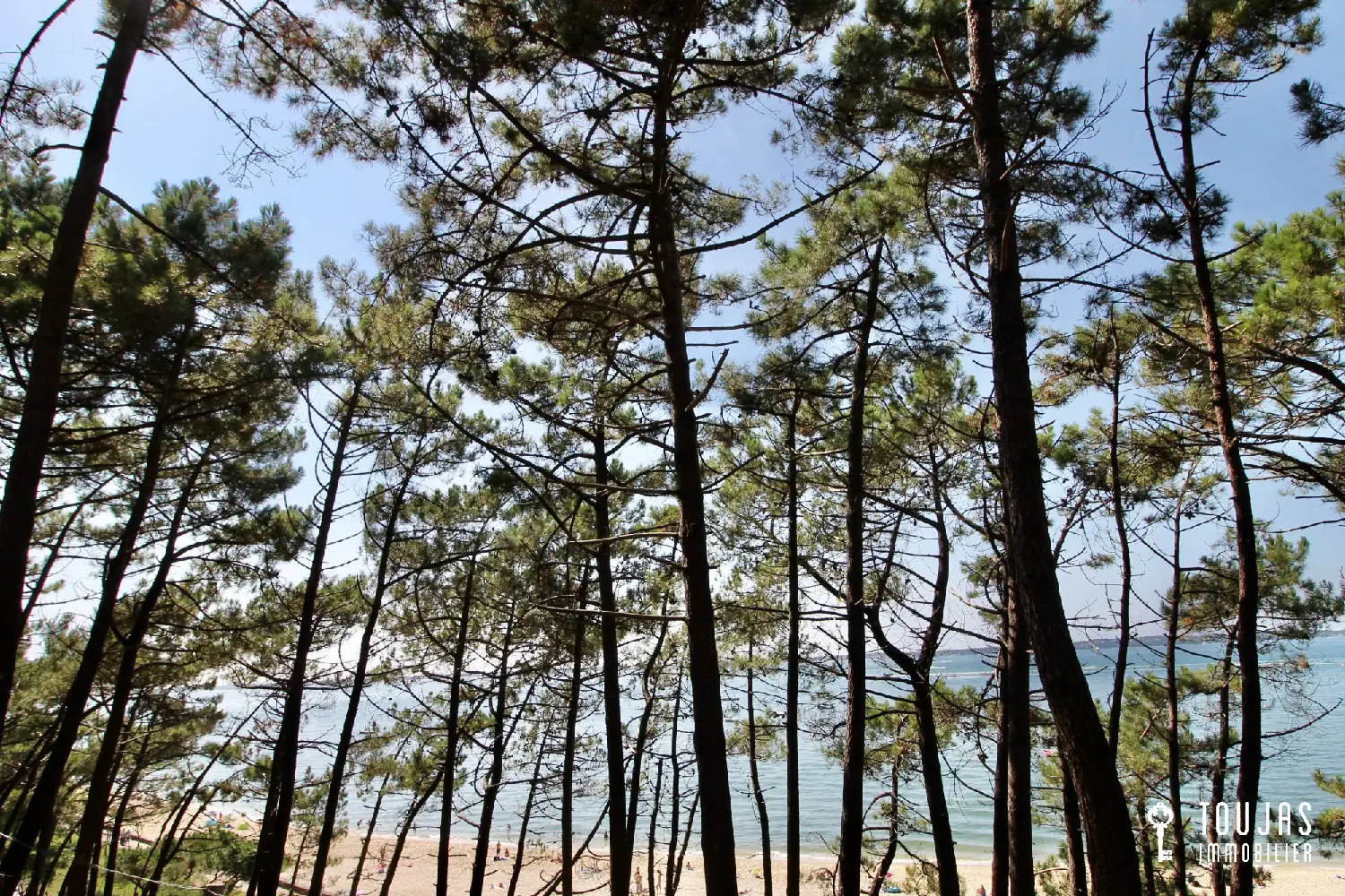  for sale house Arcachon Gironde 1