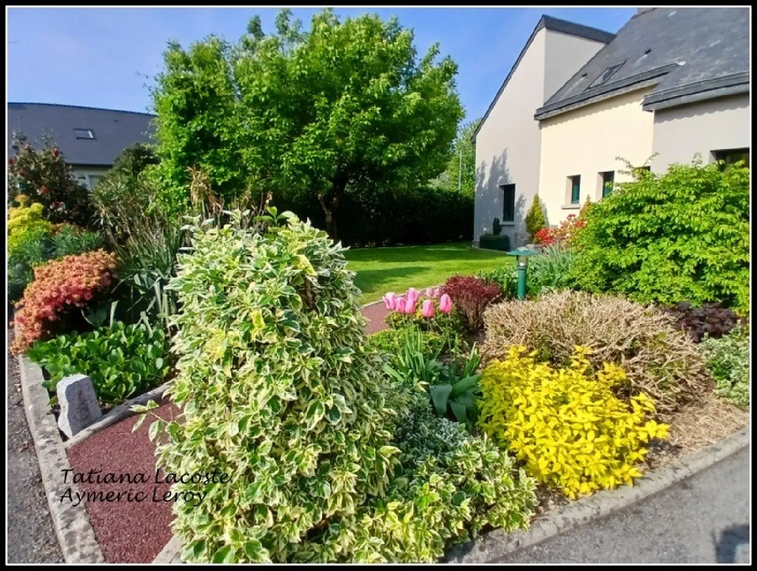  for sale house Argentré-du-Plessis Ille-et-Vilaine 3