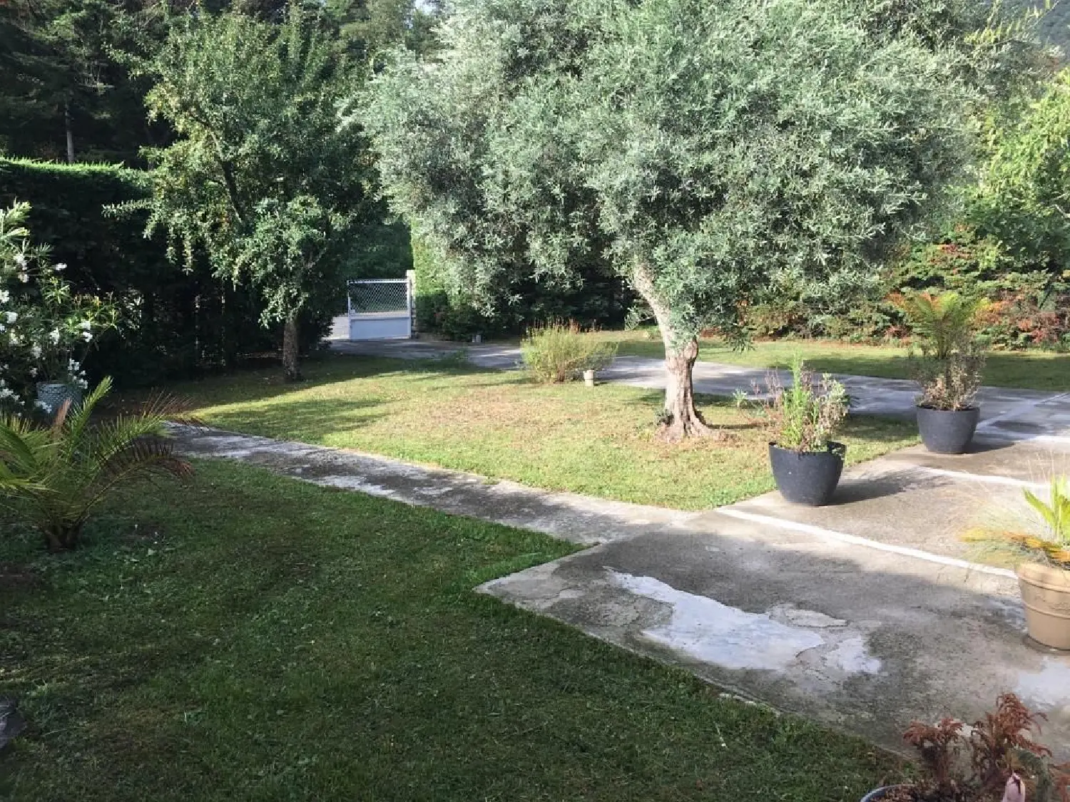  à vendre maison Arles-sur-Tech Pyrénées-Orientales 1