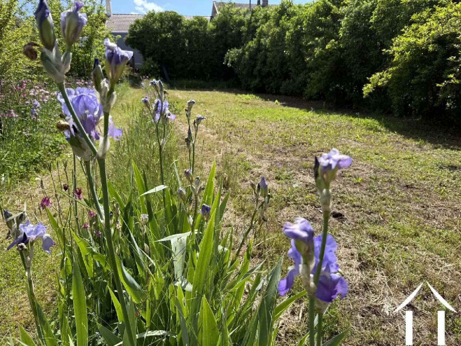  for sale house Arnay-le-Duc Côte-d'Or 2