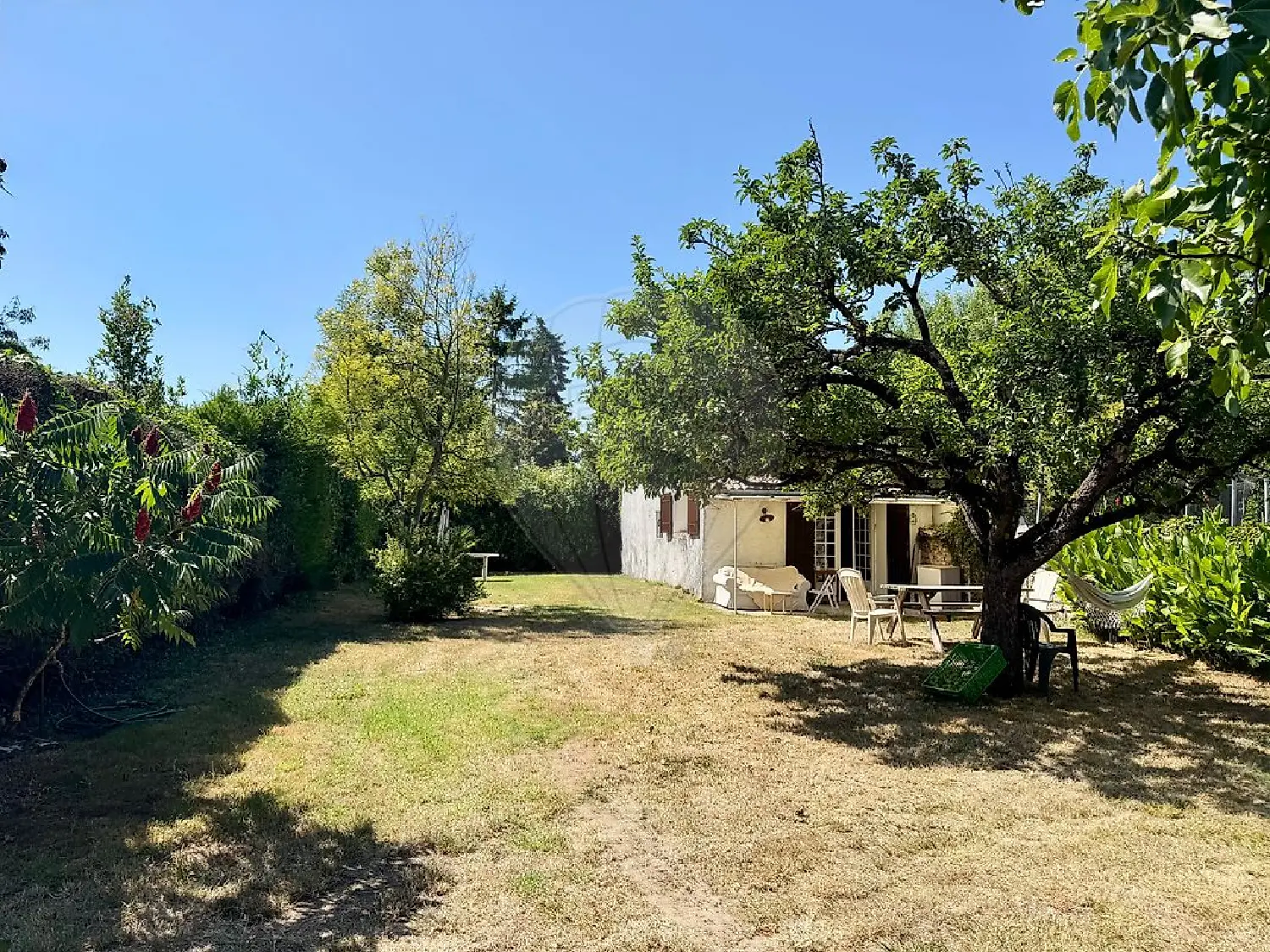  te koop huis Arvert Charente-Maritime 1