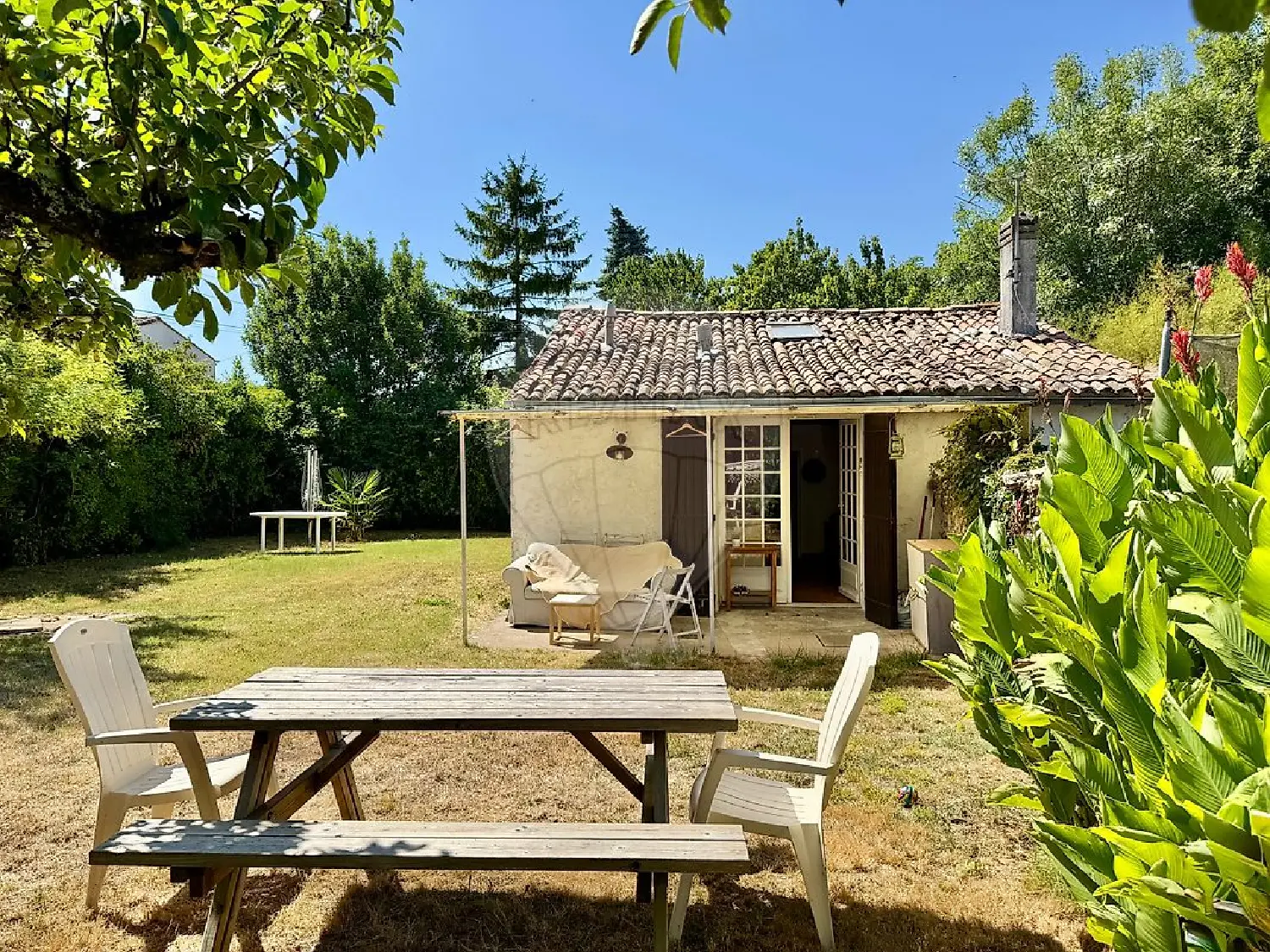  te koop huis Arvert Charente-Maritime 2