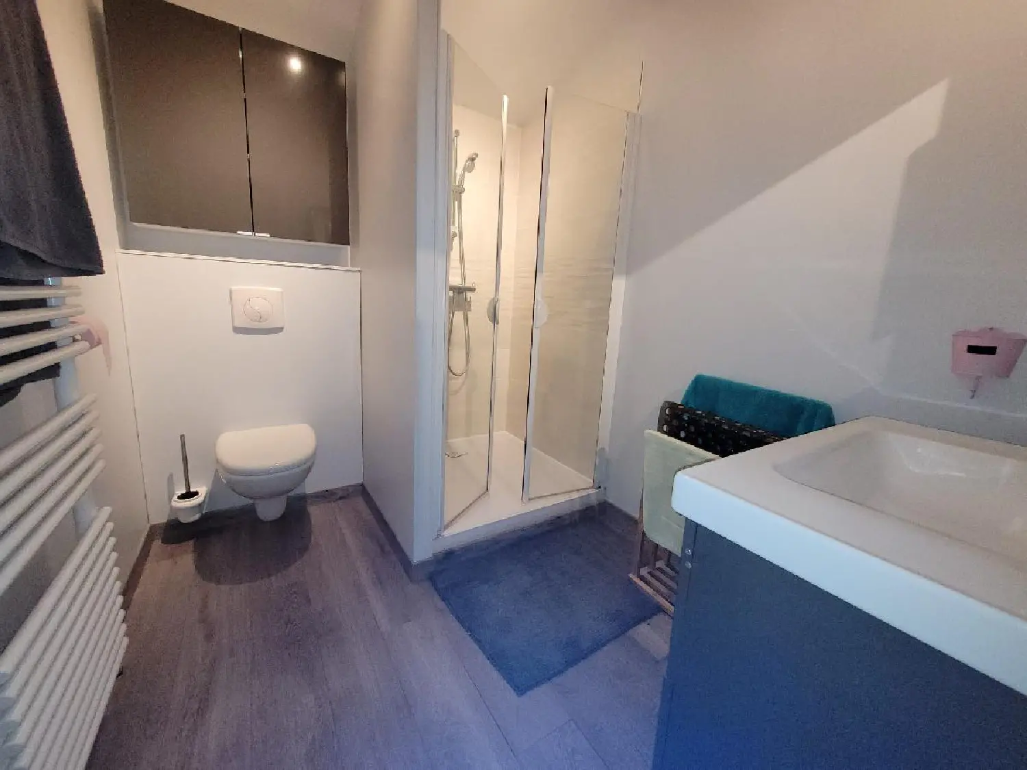  en venta casa Asnières-la-Giraud Charente-Maritime 5