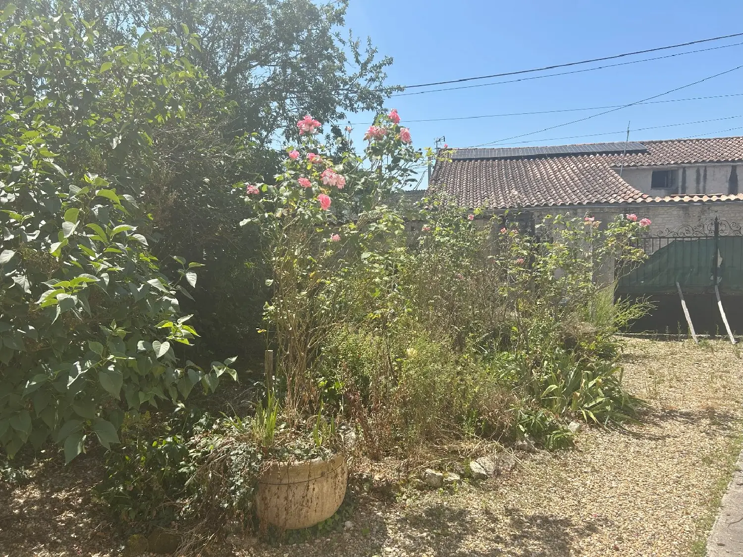  en venta casa Aumagne Charente-Maritime 3