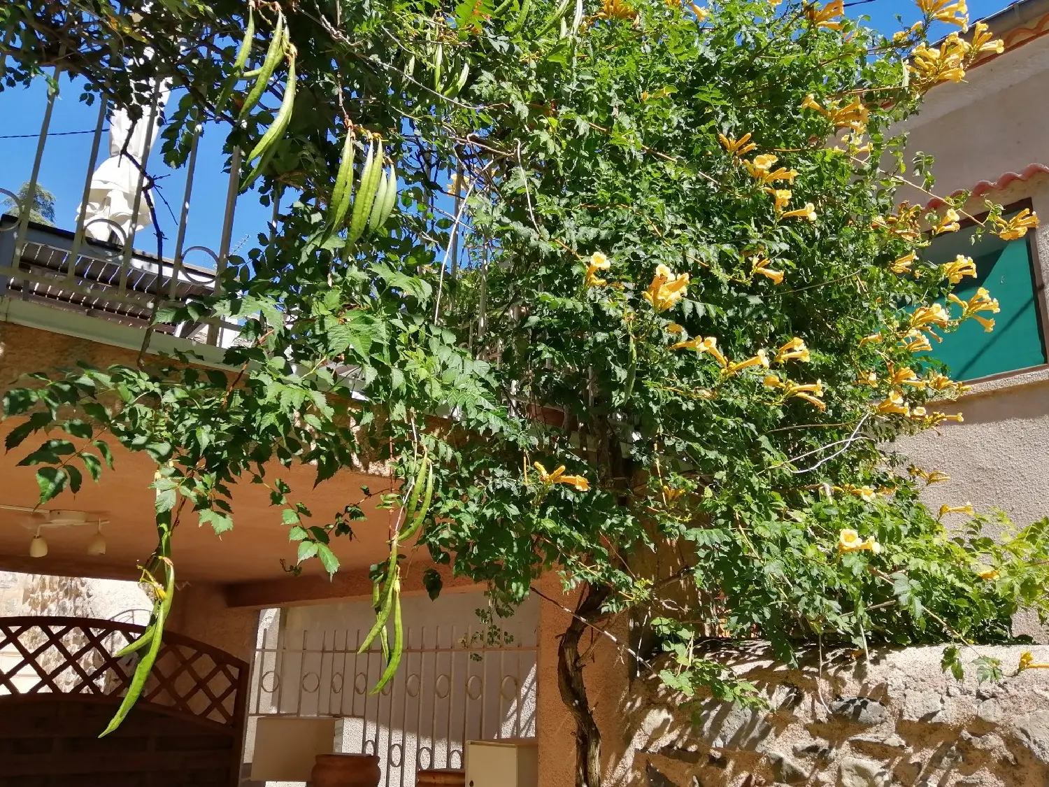  en venta casa Avène Hérault 6