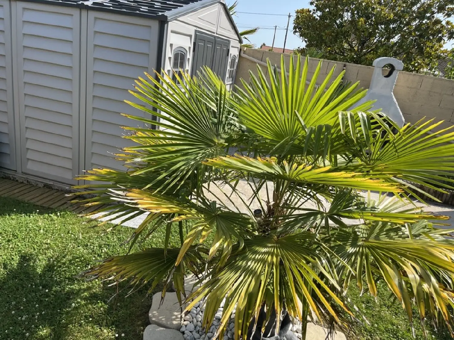  en venta casa Avrillé Vendée 6