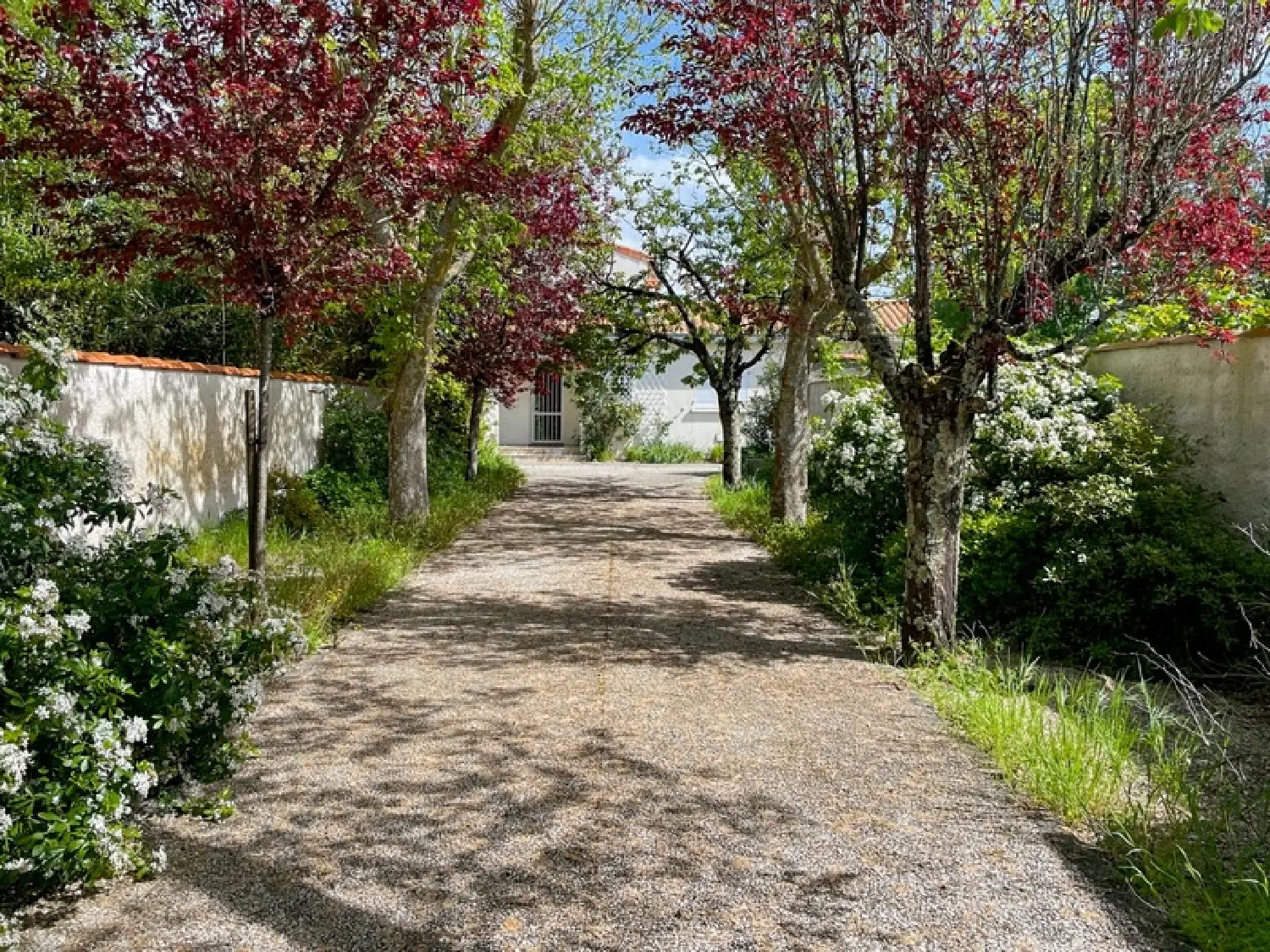  kaufen Haus Aytré Charente-Maritime 5