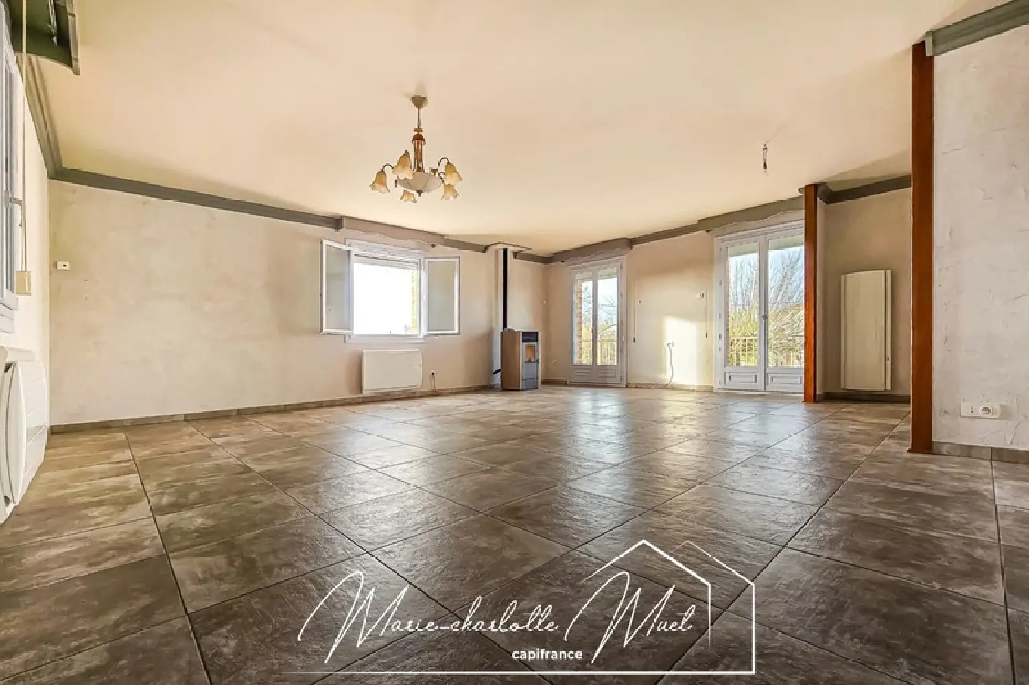  à vendre maison Bâgé-la-Ville Ain 4