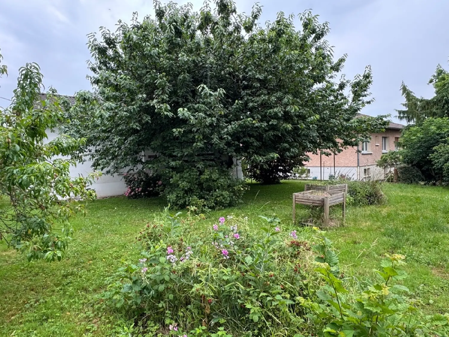  for sale house Baudonvilliers Meuse 2
