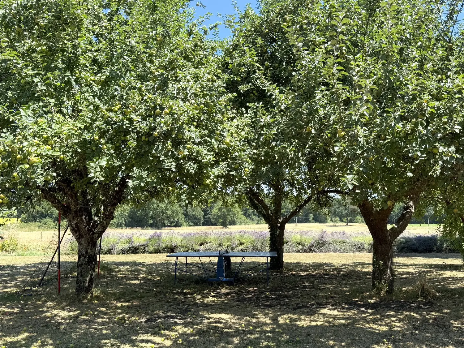  à vendre maison Bellon Charente 4