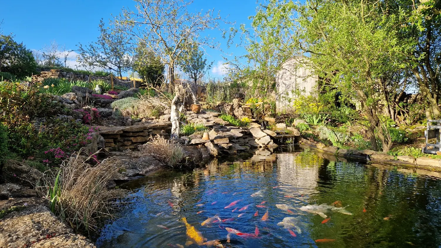  en venta casa Bertholène Aveyron 4