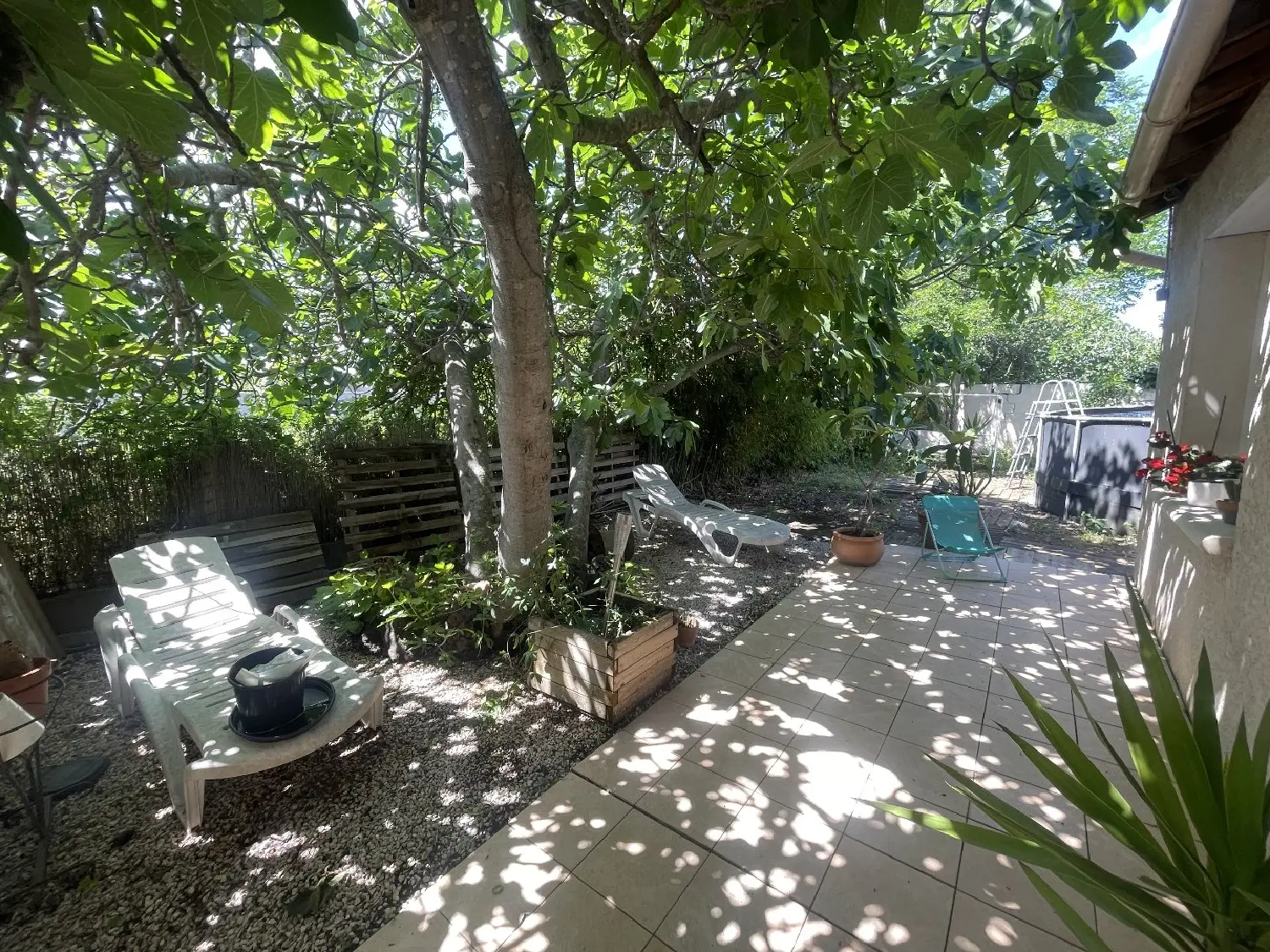  à vendre maison Bessan Hérault 3