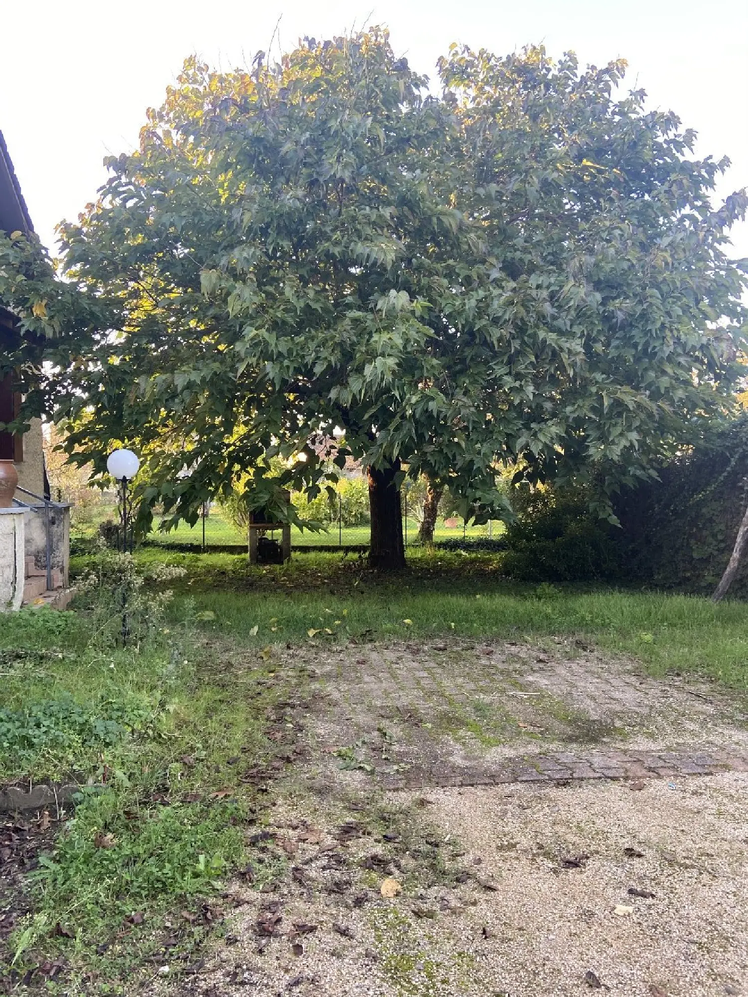  à vendre maison Biars-sur-Cère Lot 7