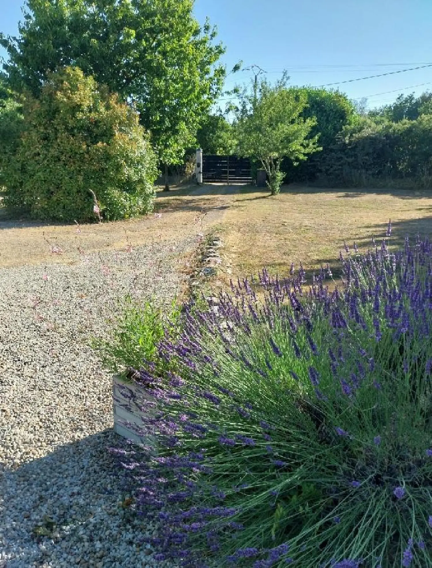  te koop huis Blanzay Vienne 5
