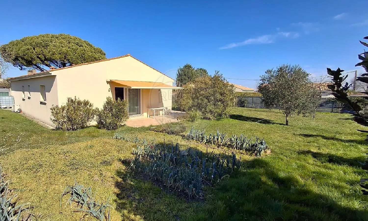  te koop huis Breuillet Charente-Maritime 3