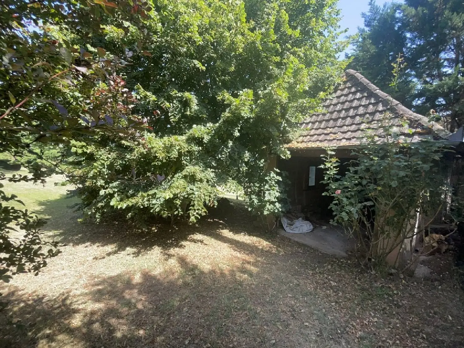  for sale house Brignac-la-Plaine Corrèze 5