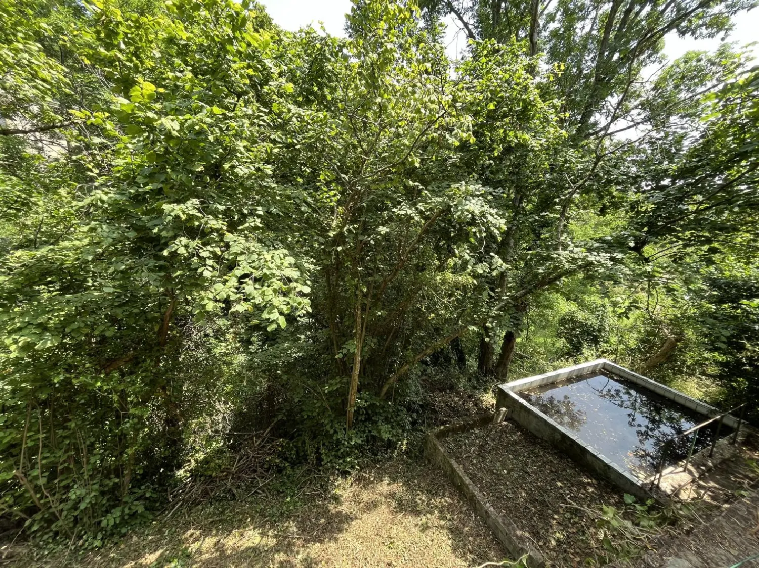  à vendre maison Cassagnoles Hérault 2