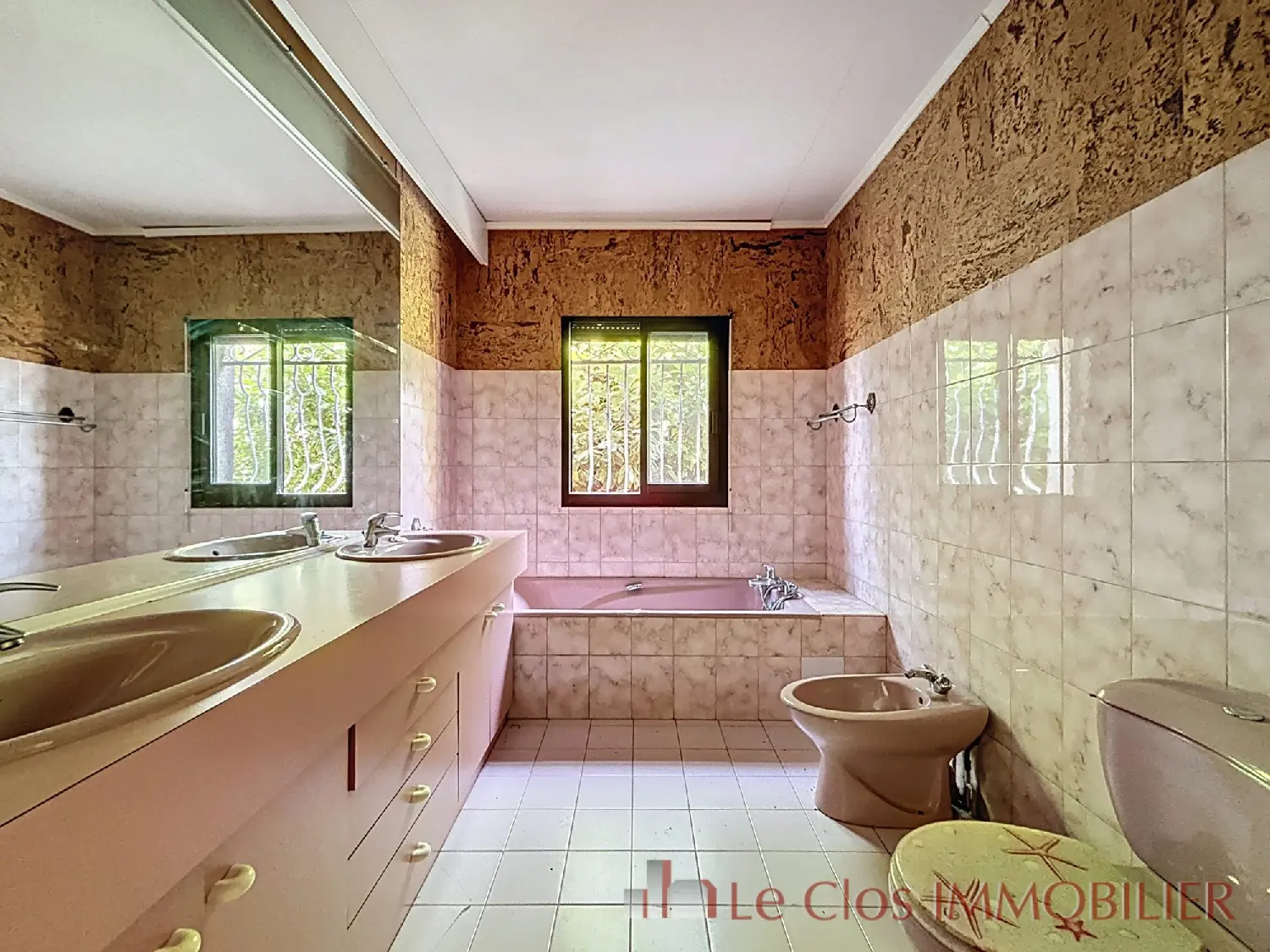  for sale house Castelginest Haute-Garonne 8