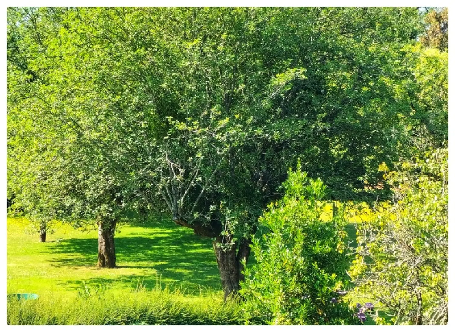  for sale house Caudan Morbihan 3