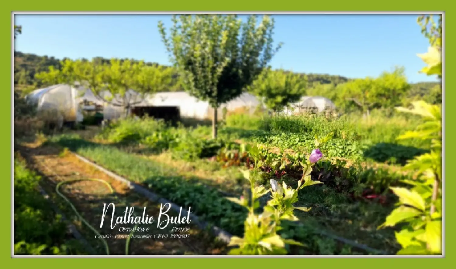  for sale house Cébazan Hérault 4