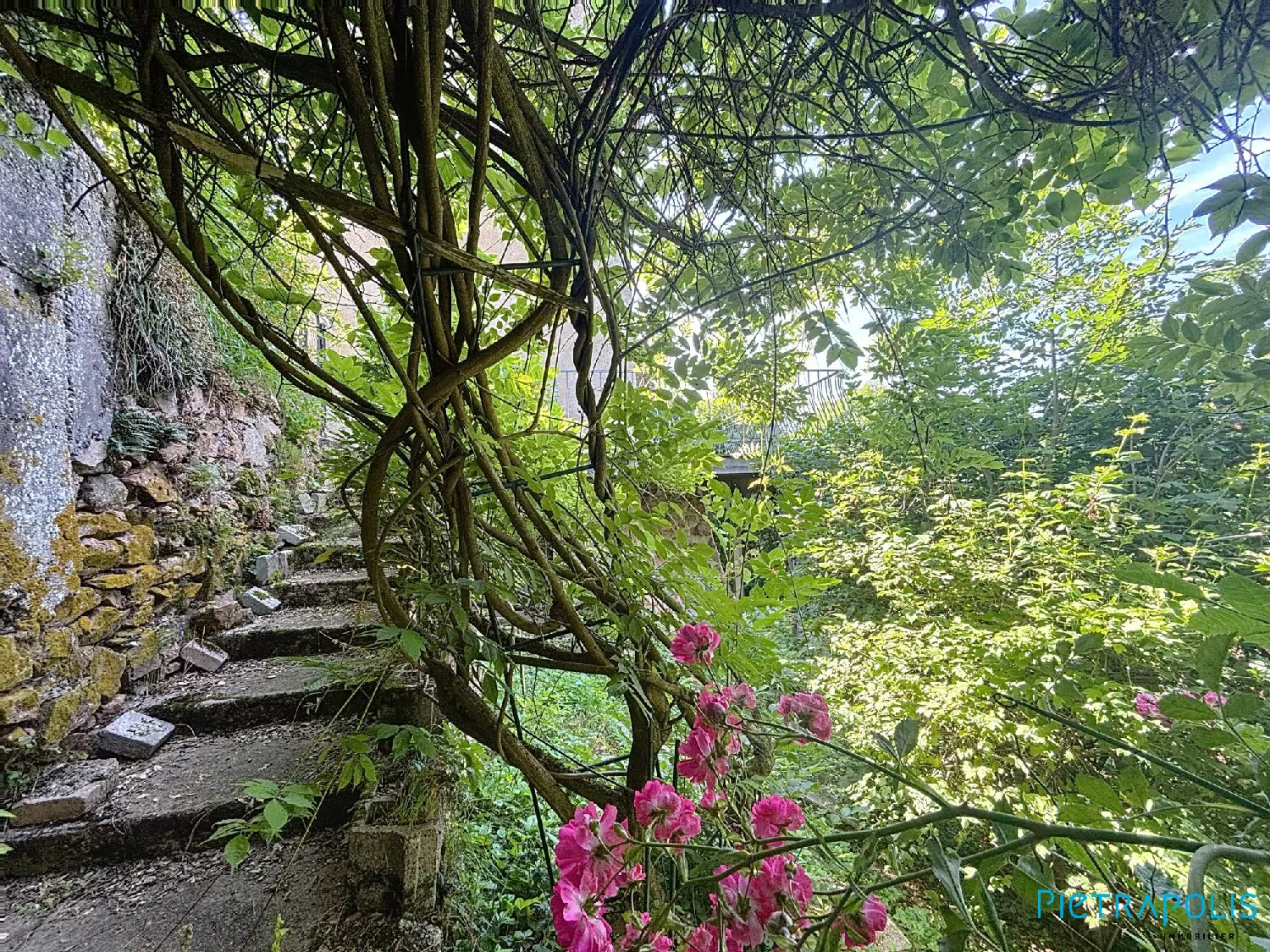 en venta casa Chamelet Rhône 8