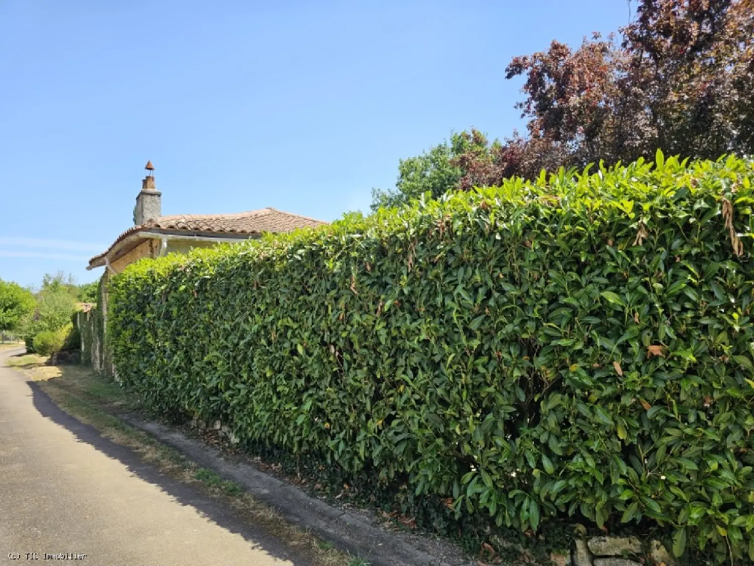  te koop huis Champagne-Mouton Charente 5