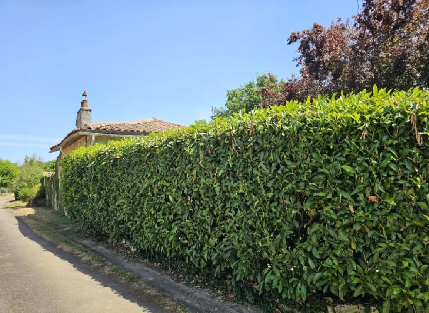  en venta casa Champagne-Mouton Charente 5